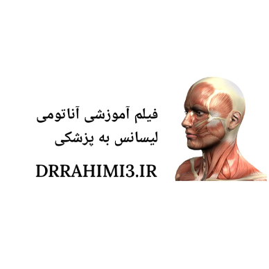 فیلم آموزشی آناتومی لیسانس به پزشکی دکتر حسین رحیمی